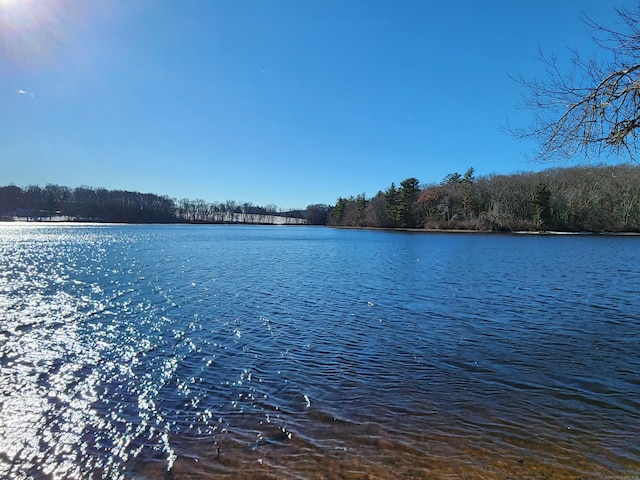 property view of water