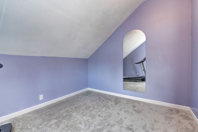 additional living space with carpet, a textured ceiling, and vaulted ceiling