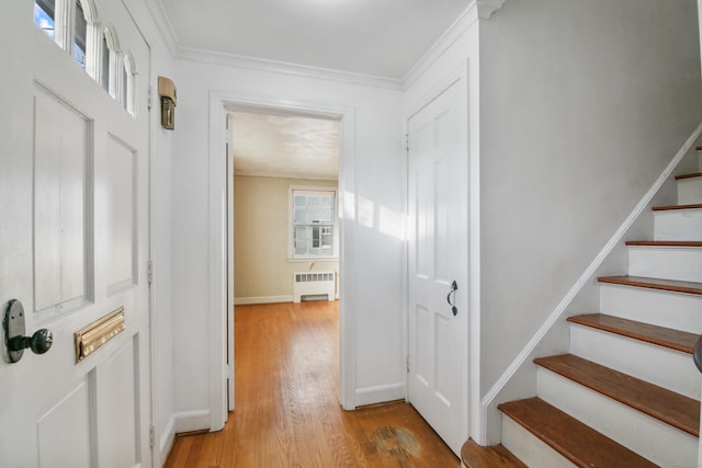 hall featuring ornamental molding, radiator, and light hardwood / wood-style flooring