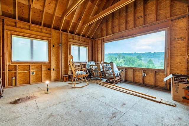 miscellaneous room featuring lofted ceiling