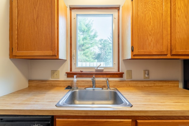 kitchen featuring black dishwasher and sink