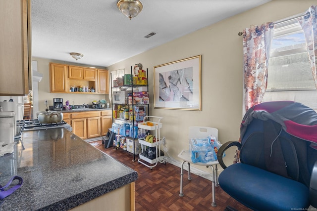 kitchen featuring dark parquet flooring, light brown cabinets, extractor fan, a textured ceiling, and stainless steel stove