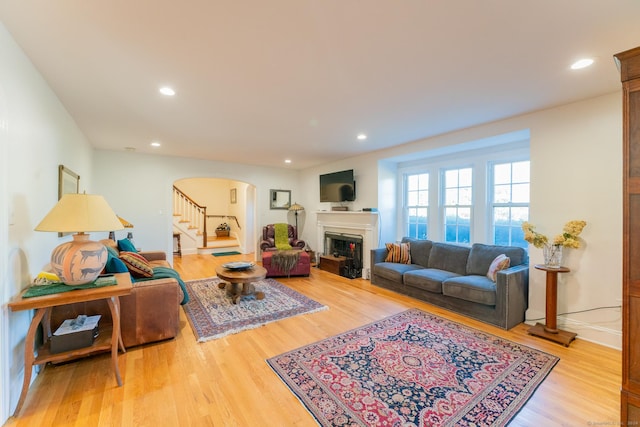 living room with wood-type flooring