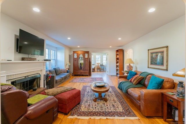 living room featuring a fireplace, plenty of natural light, and light wood-type flooring