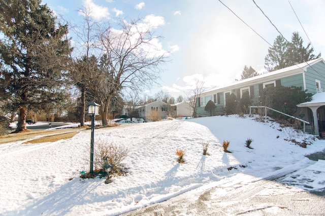 view of yard covered in snow