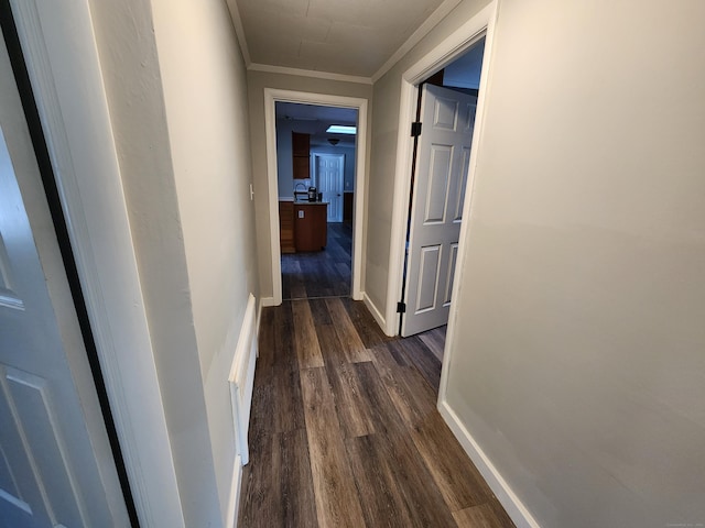 corridor with dark hardwood / wood-style floors and crown molding