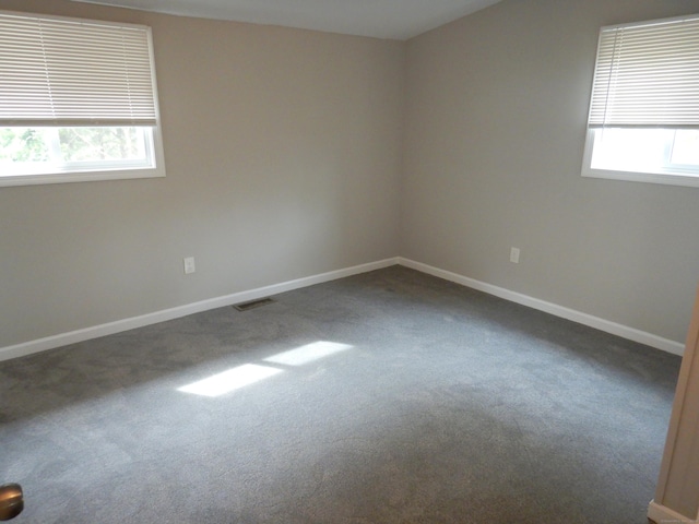 spare room featuring carpet flooring and a healthy amount of sunlight