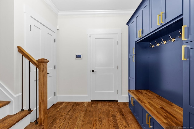 mudroom featuring dark wood-type flooring and crown molding