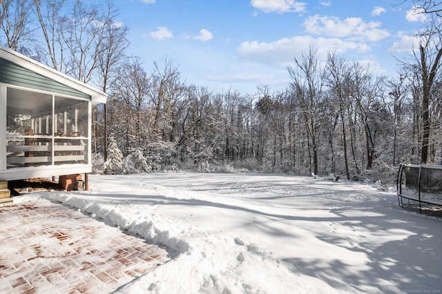 yard covered in snow with a sunroom and a trampoline