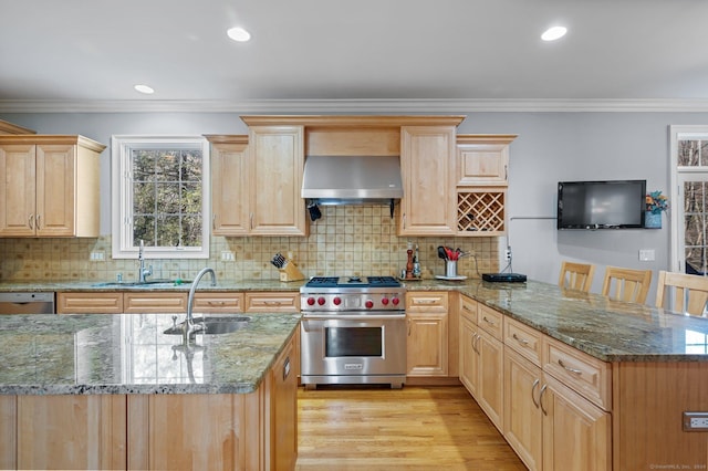 kitchen featuring a breakfast bar, sink, exhaust hood, and appliances with stainless steel finishes