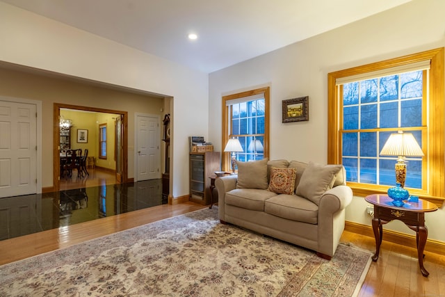 living room with hardwood / wood-style flooring