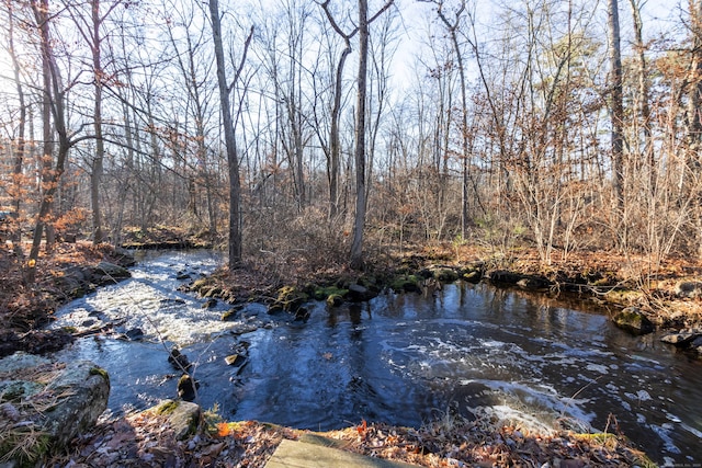 view of water feature