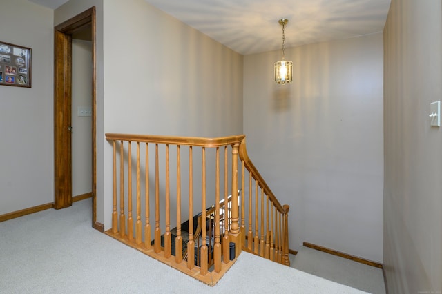 stairs featuring carpet floors