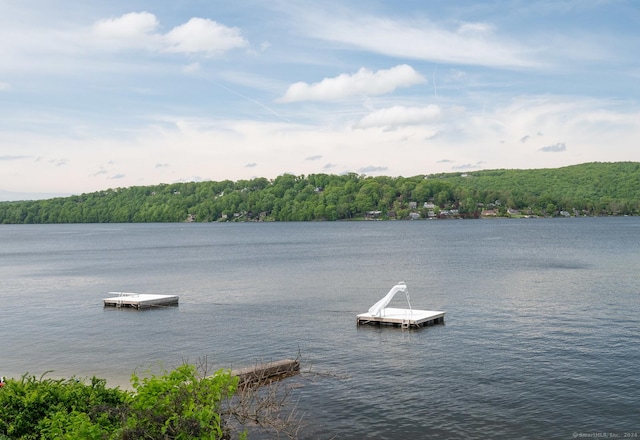 property view of water with a view of trees and a floating dock