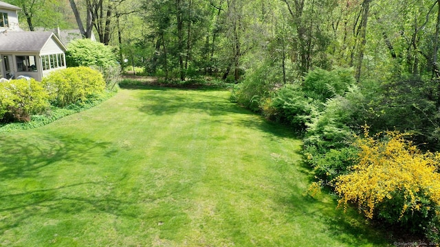 view of yard with a forest view