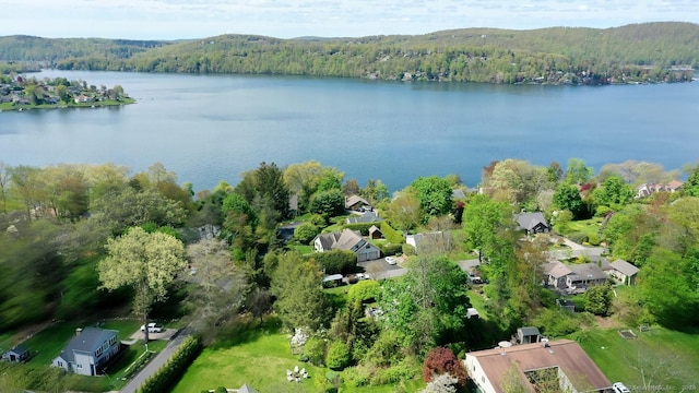 bird's eye view with a water view and a wooded view