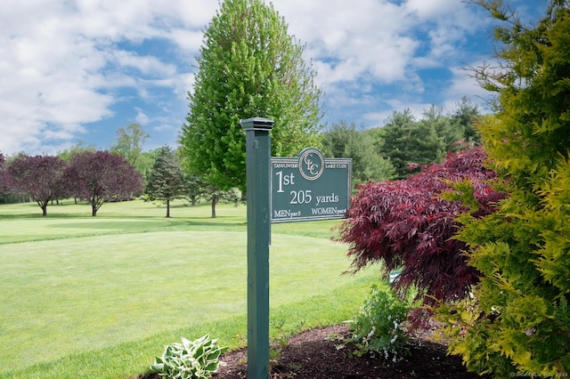 view of community featuring a lawn