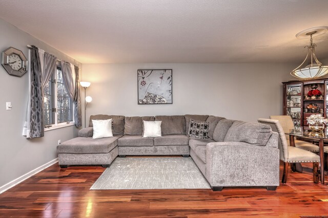 living room with dark hardwood / wood-style flooring