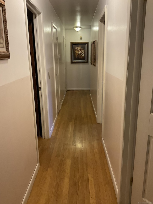 corridor featuring light hardwood / wood-style flooring