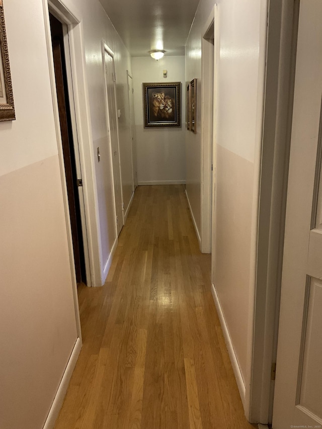 hall with light hardwood / wood-style floors