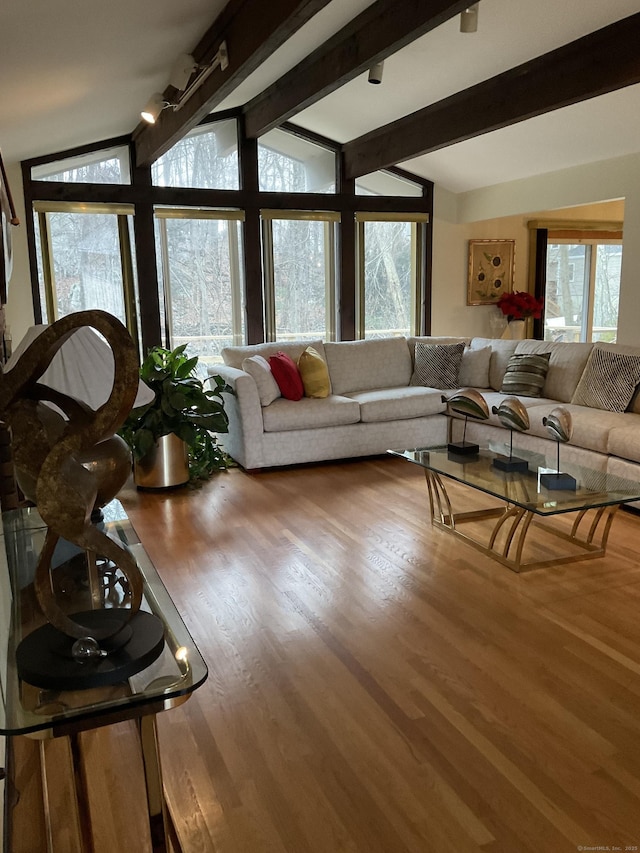 living room with hardwood / wood-style floors, lofted ceiling with beams, and rail lighting