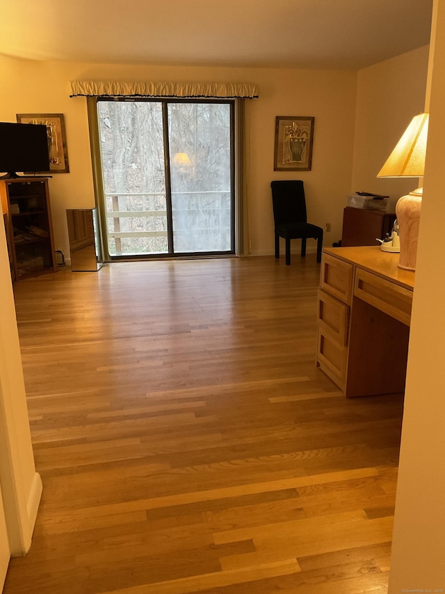 interior space featuring light hardwood / wood-style floors and a wealth of natural light