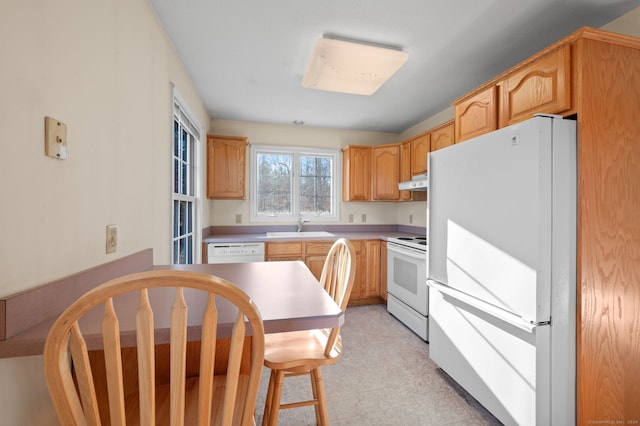 kitchen with white appliances and sink