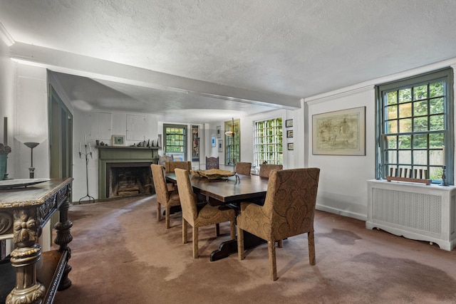 carpeted dining room featuring plenty of natural light, radiator heating unit, and a textured ceiling