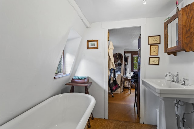 bathroom featuring a washtub and sink