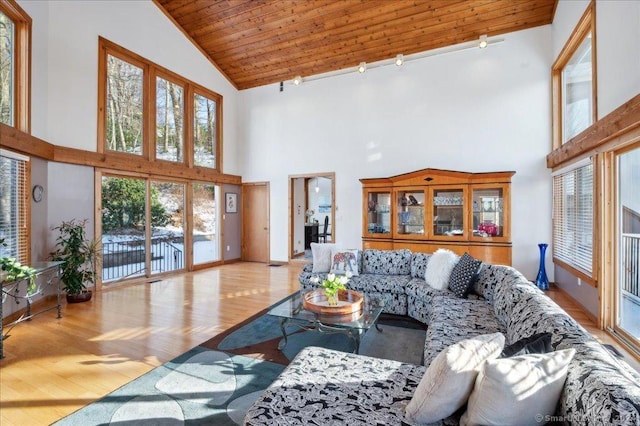 living room featuring wooden ceiling, high vaulted ceiling, and light hardwood / wood-style flooring