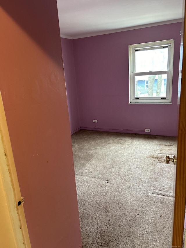 empty room featuring carpet