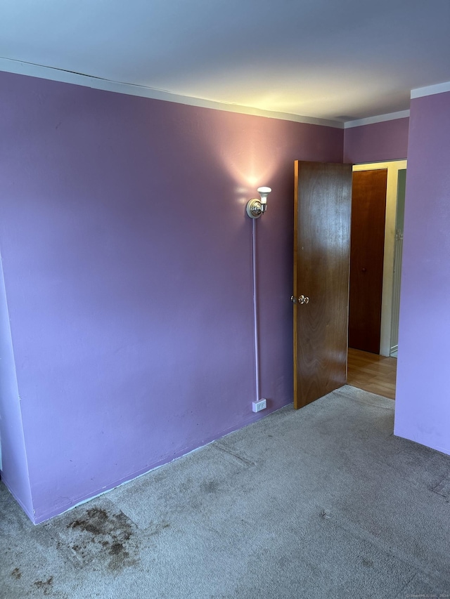 empty room featuring carpet flooring and ornamental molding