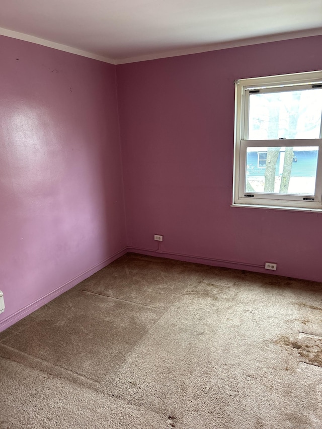 carpeted empty room featuring ornamental molding