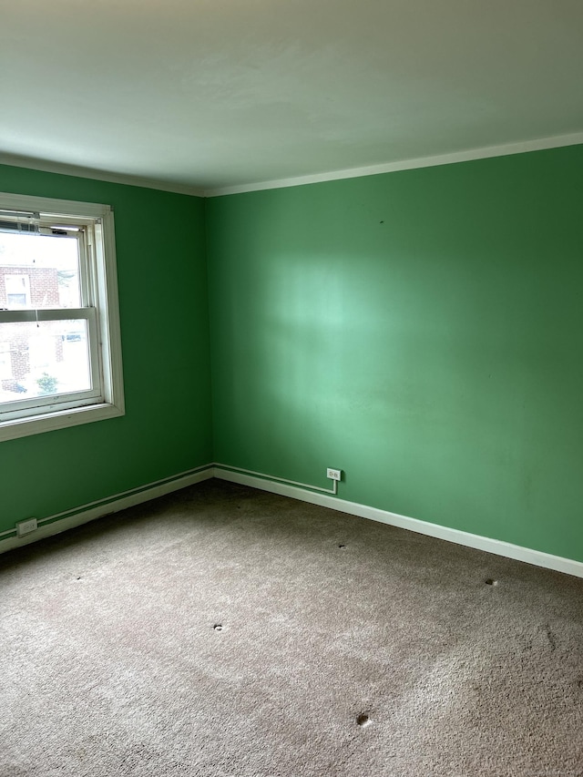 unfurnished room with carpet flooring and crown molding