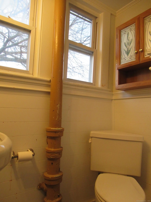 bathroom featuring toilet and ornamental molding