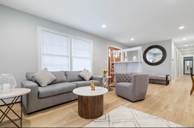 living room featuring light hardwood / wood-style floors