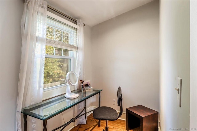 office with wood-type flooring and plenty of natural light