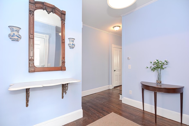 corridor featuring crown molding and dark wood-type flooring