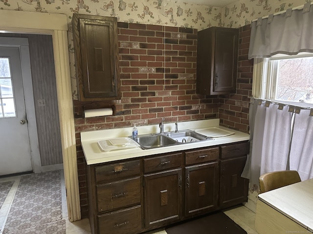 kitchen with dark brown cabinets and sink