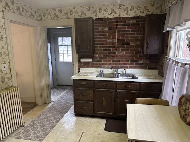 kitchen with sink, radiator heating unit, and dark brown cabinetry