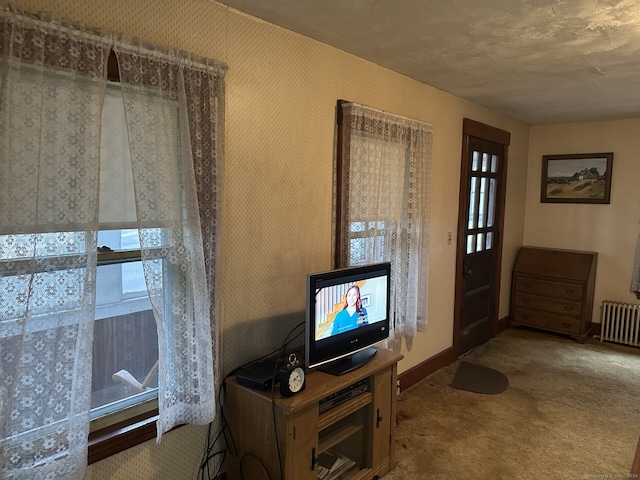 entrance foyer featuring radiator and carpet floors