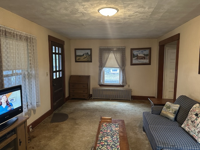 living room with radiator and carpet flooring