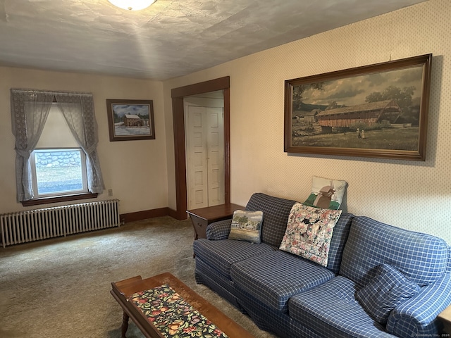 carpeted living room with radiator heating unit