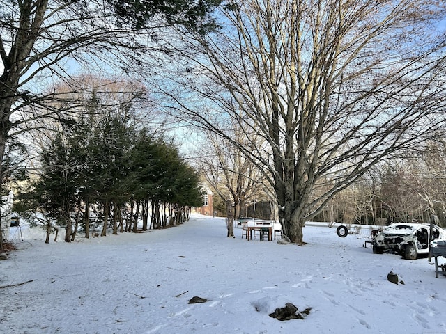 view of yard layered in snow