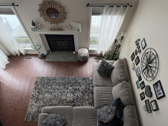 living room featuring hardwood / wood-style flooring