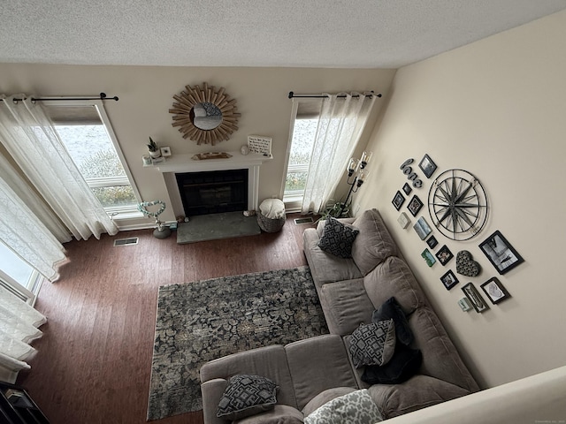 living room featuring dark hardwood / wood-style flooring and a textured ceiling