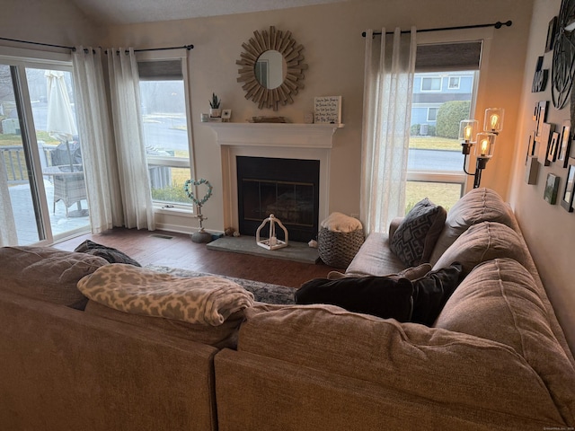 living room featuring hardwood / wood-style floors