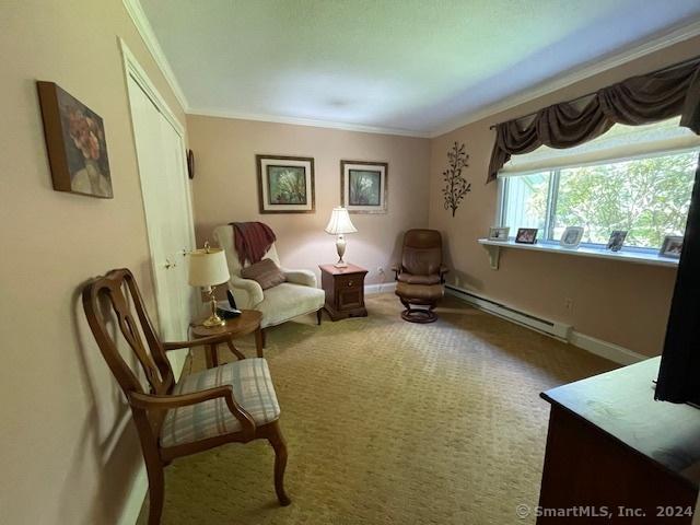 living area featuring carpet flooring, ornamental molding, and a baseboard heating unit