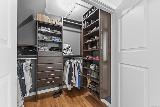 walk in closet featuring hardwood / wood-style flooring