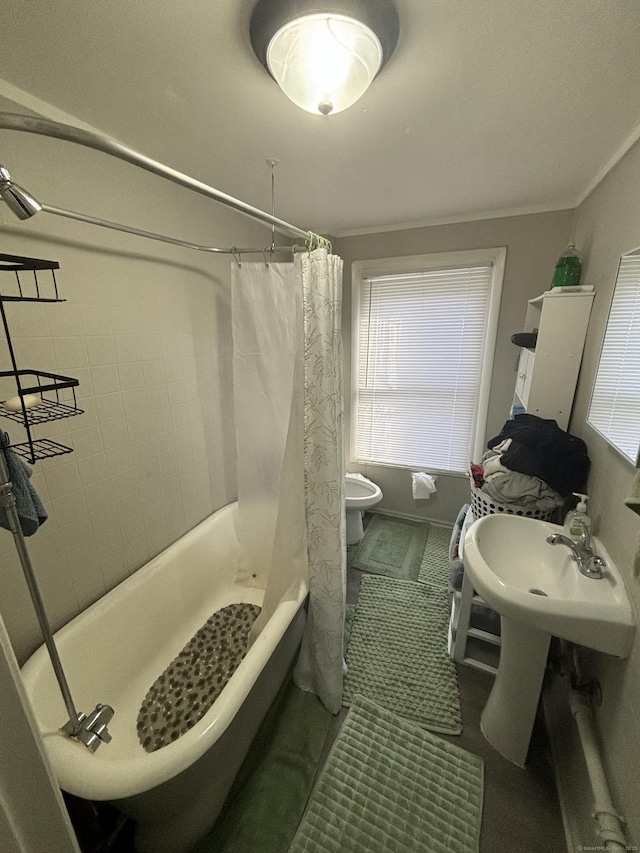 bathroom featuring crown molding, shower / tub combo with curtain, and toilet